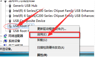 USB Root Hub
