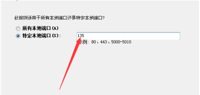 特定本地端口輸入