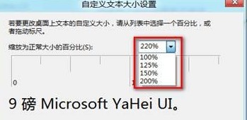 自定義文本大小設置