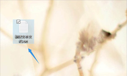 右鍵“新建”-“文本文檔”