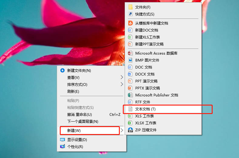 新建一個文本文檔